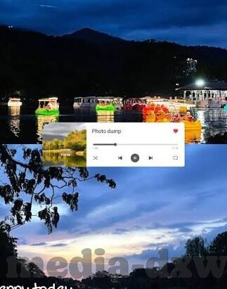 成人啪啪啪免费视频-成人娱乐视频的边界与自我保护